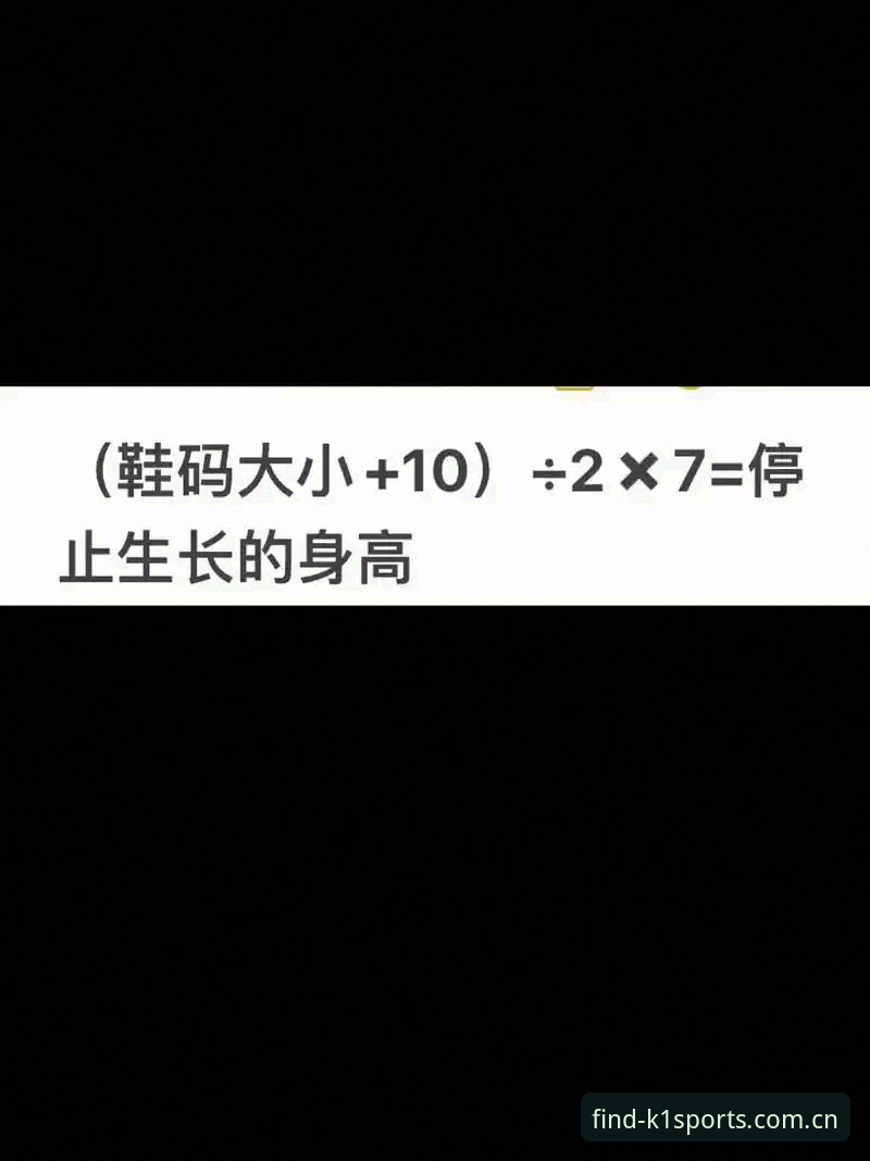 K1体育平台使用教程最新动态：2025年官方入口与安全操作全解析